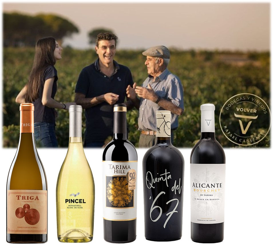 Miércoles 8 de Octubre. Cata de Bodegas Volver de Alicante.