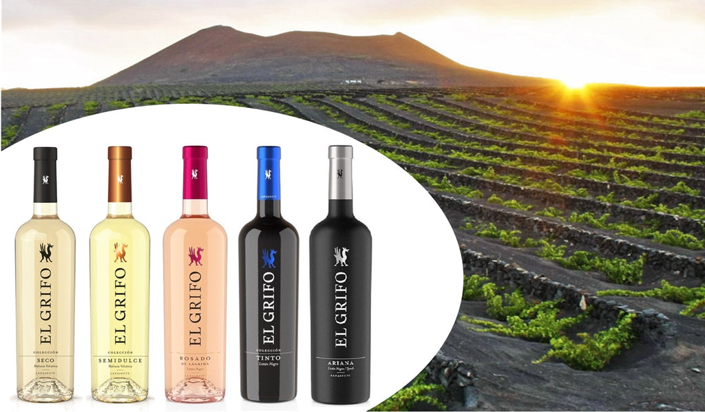 Martes 3. Cata de vinos volcánicos de Bodegas El Grifo de Lanzarote.