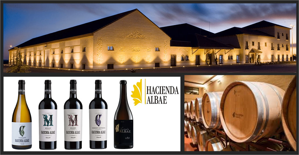 Miércoles 15 de Junio. Cata de Bodegas Hacienda Albae