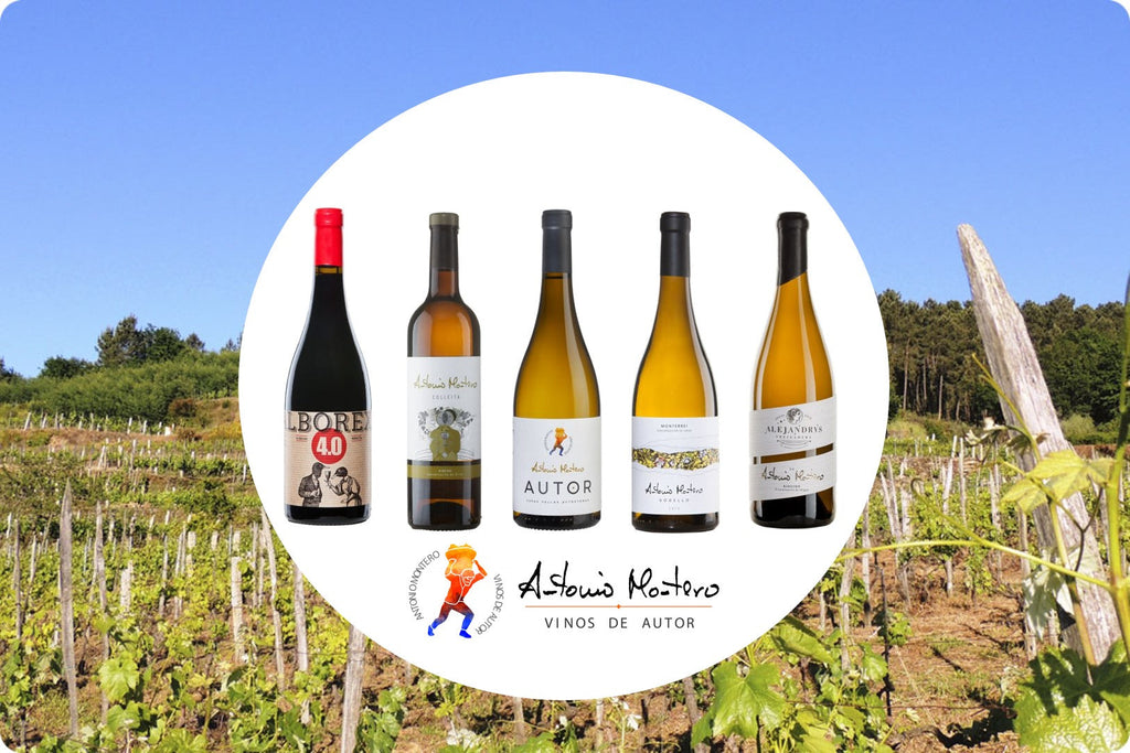 Miércoles 18 de Junio. Cata de vinos del Ribeiro.