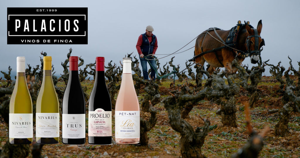 Jueves 11 de Diciembre. Cata de "PALACIOS. Vinos de Finca"