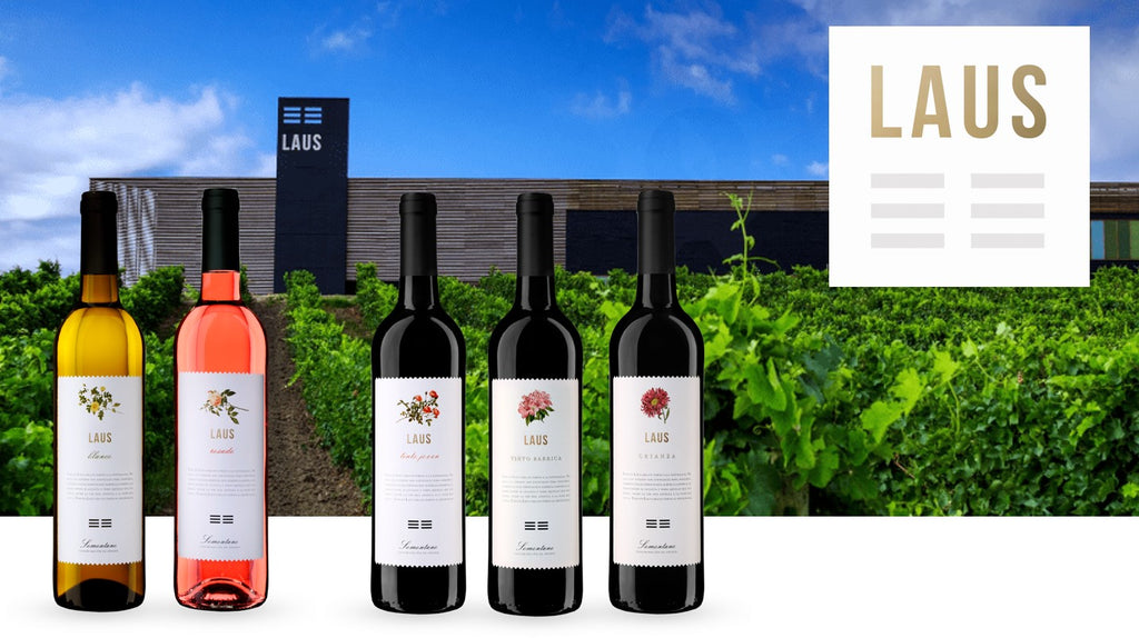 Martes 16 de Julio. Cata de vinos de Somontano. Bodegas Laus.