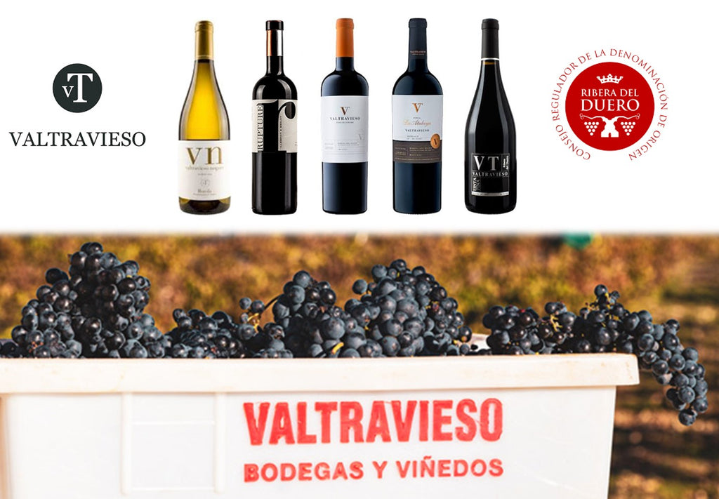 Miércoles 16 de Marzo. Cata de Bodegas Valtravieso de Ribera del Duero.